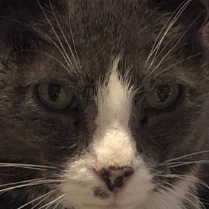 Meet your Posher, Krina